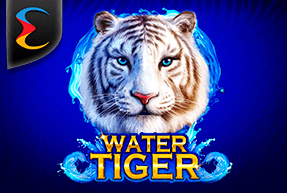 Water Tiger Water Tiger